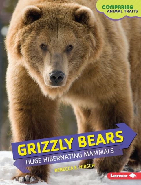 Grizzly Bears : Huge Hibernating Mammals, PDF eBook