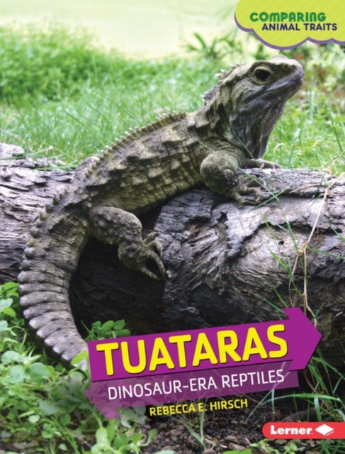 Tuataras : Dinosaur-Era Reptiles, PDF eBook