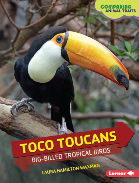 Toco Toucans : Big-Billed Tropical Birds, PDF eBook