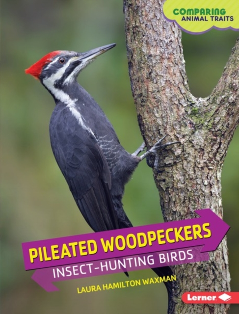 Pileated Woodpeckers : Insect-Hunting Birds, PDF eBook