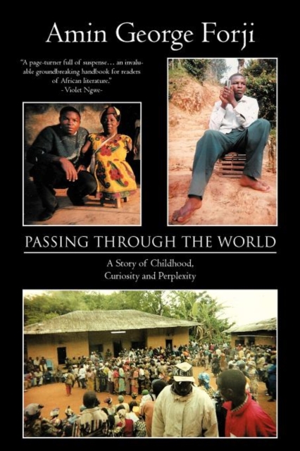 Passing Through the World : A Story of Childhood, Curiosity and Perplexity, Paperback / softback Book