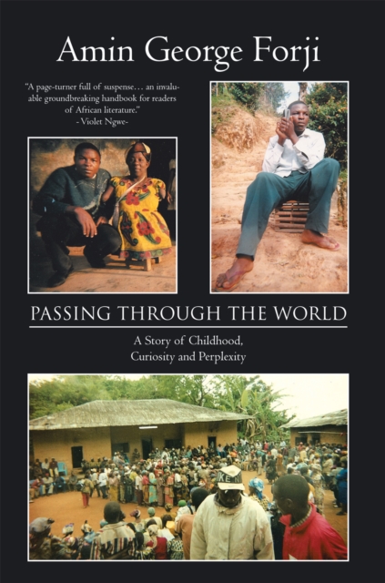 Passing Through the World : A Story of Childhood, Curiosity and Perplexity, EPUB eBook