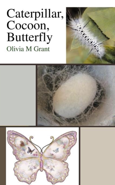 Caterpillar, Cocoon, Butterfly, Paperback / softback Book