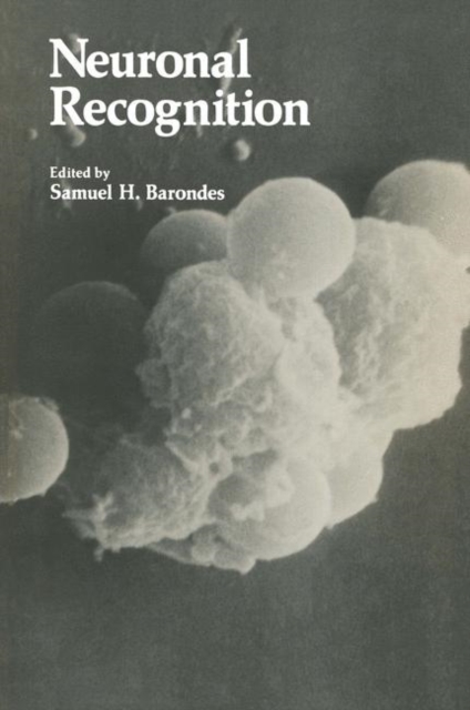 Neuronal Recognition, Paperback / softback Book