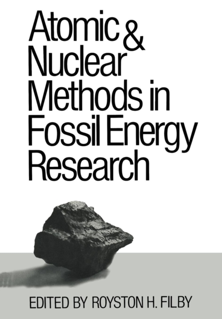 Atomic and Nuclear Methods in Fossil Energy Research, Paperback / softback Book