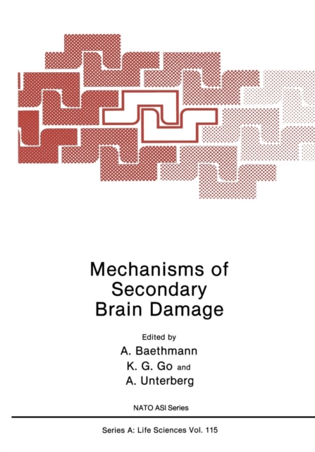 Mechanisms of Secondary Brain Damage, Paperback / softback Book