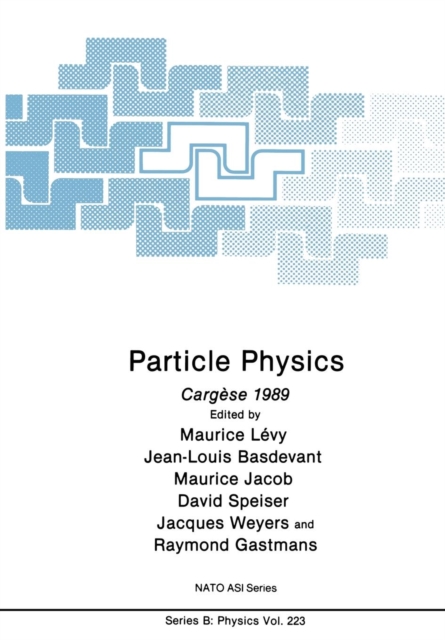 Particle Physics : Cargese 1989, Paperback / softback Book