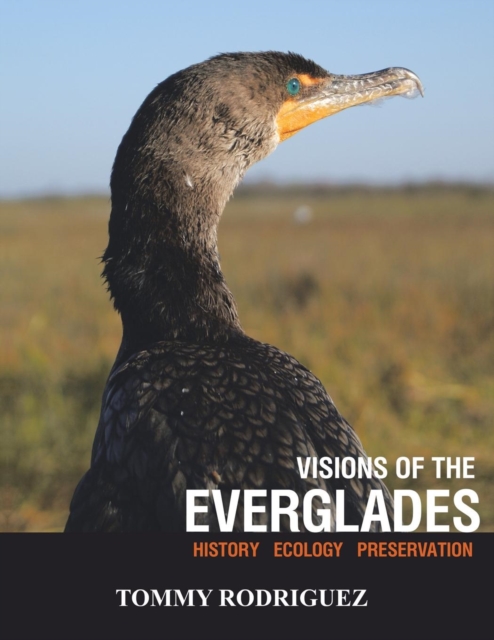 Visions of the Everglades : History Ecology Preservation, Paperback / softback Book