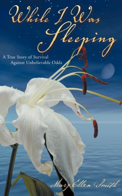 While I Was Sleeping : A True Story About Love, Hope and Determination, Paperback / softback Book