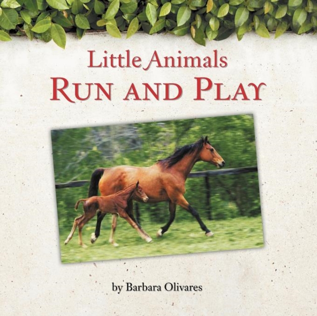 Little Animals Run and Play, Paperback / softback Book