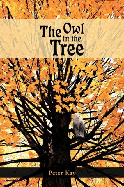 The Owl in the Tree, Paperback / softback Book