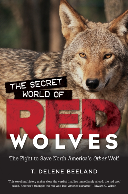 The Secret World of Red Wolves : The Fight to Save North America's Other Wolf, PDF eBook