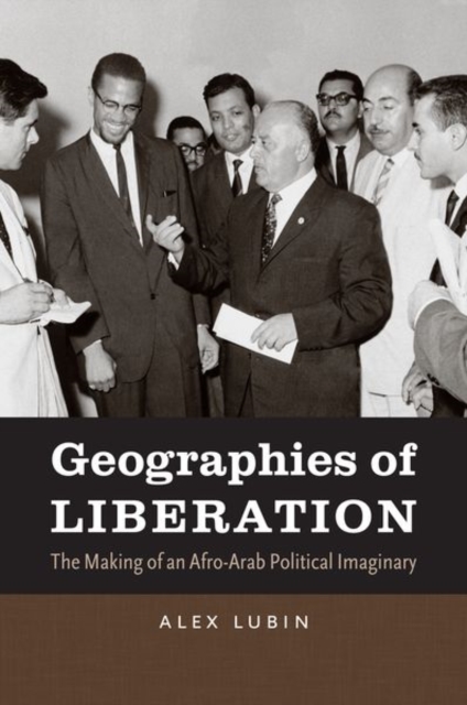 Geographies of Liberation : The Making of an Afro-Arab Political Imaginary, Paperback / softback Book
