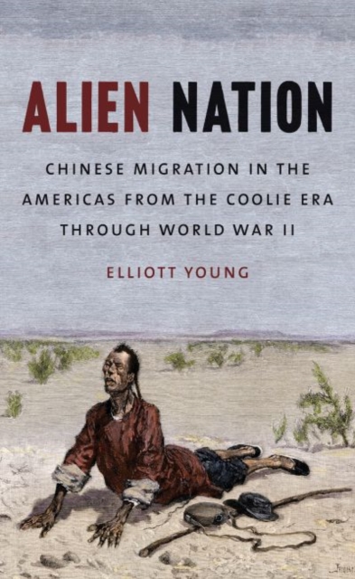 Alien Nation : Chinese Migration in the Americas from the Coolie Era through World War II, Paperback / softback Book