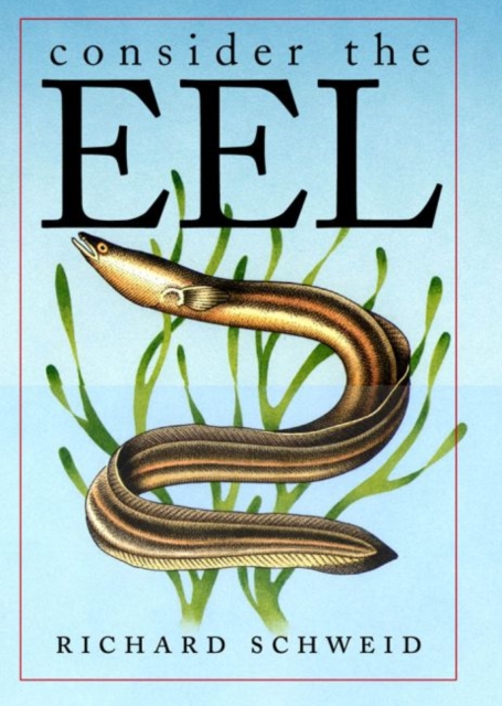 Consider the Eel, Paperback / softback Book