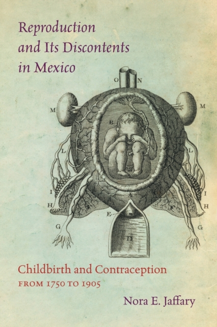 Reproduction and Its Discontents in Mexico : Childbirth and Contraception from 1750 to 1905, Paperback / softback Book