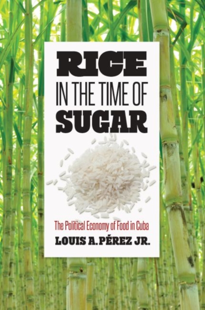Rice in the Time of Sugar : The Political Economy of Food in Cuba, Hardback Book