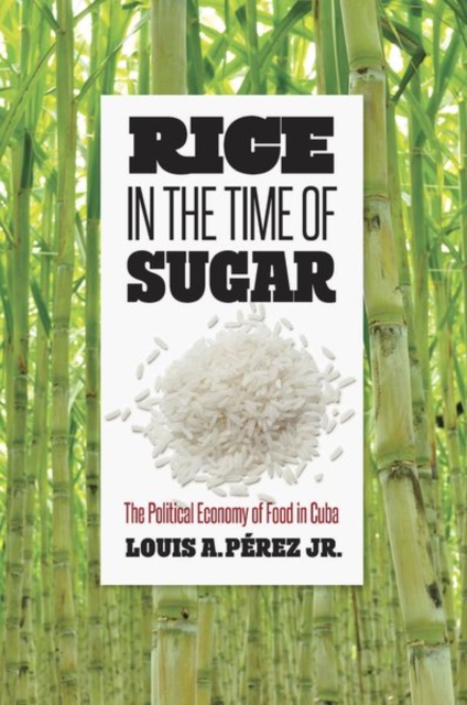 Rice in the Time of Sugar : The Political Economy of Food in Cuba, Paperback / softback Book