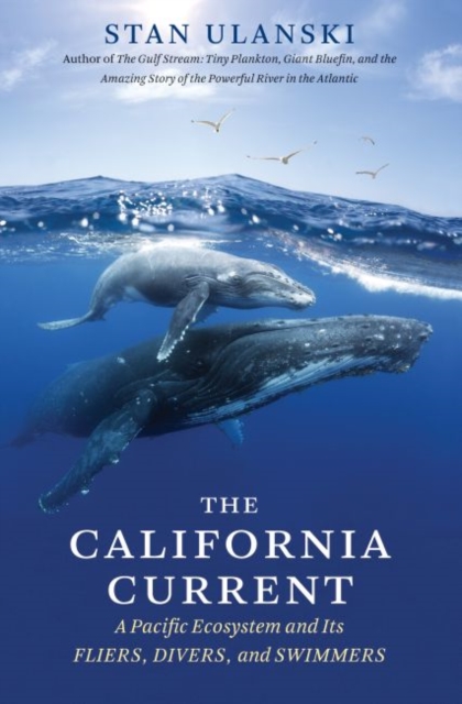 The California Current : A Pacific Ecosystem and Its Fliers, Divers, and Swimmers, Paperback / softback Book