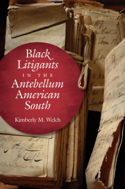 Black Litigants in the Antebellum American South, Paperback / softback Book