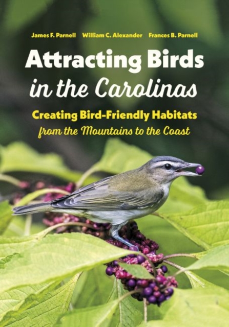 Attracting Birds in the Carolinas : Creating Bird-Friendly Habitats from the Mountains to the Coast, Paperback / softback Book