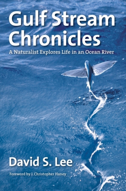 Gulf Stream Chronicles : A Naturalist Explores Life in an Ocean River, Paperback / softback Book
