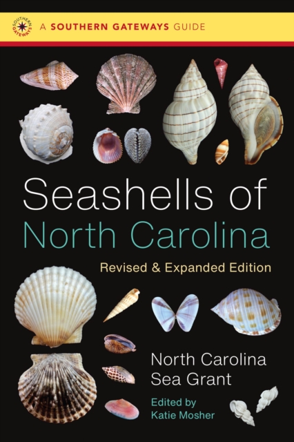 Seashells of North Carolina, Paperback / softback Book