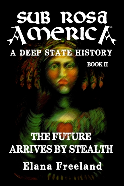 Sub Rosa America, Book II : The Future Arrives By Stealth, Paperback / softback Book