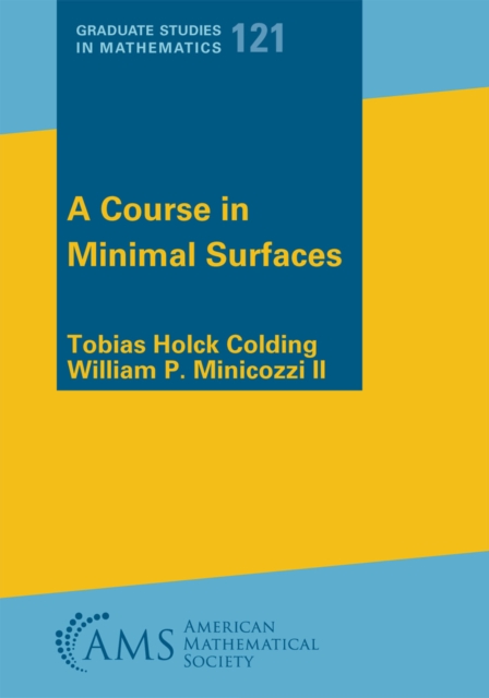 A Course in Minimal Surfaces, PDF eBook