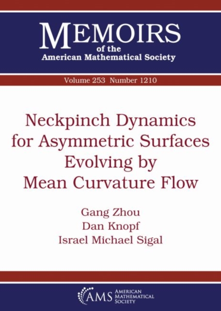 Neckpinch Dynamics for Asymmetric Surfaces Evolving by Mean Curvature Flow, Paperback / softback Book