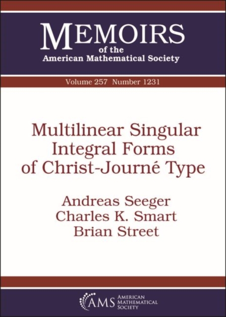 Multilinear Singular Integral Forms of Christ-Journe Type, Paperback / softback Book