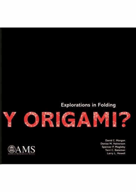 Y Origami? : Explorations in Folding, Paperback / softback Book