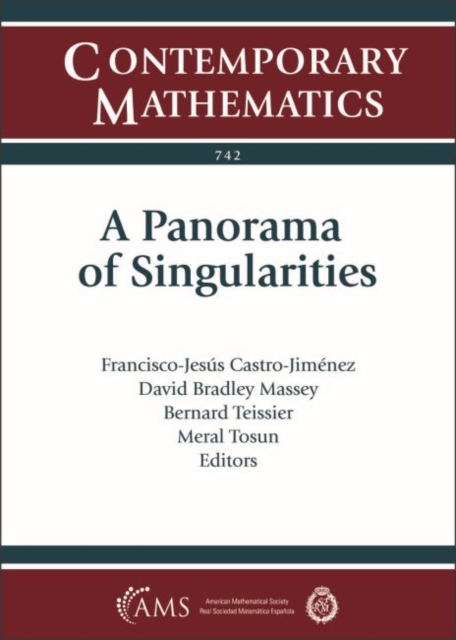 A Panorama of Singularities, Paperback / softback Book
