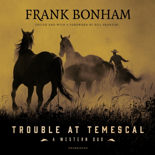Trouble at Temescal, eAudiobook MP3 eaudioBook