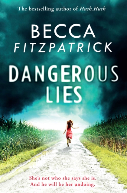 Dangerous Lies, EPUB eBook