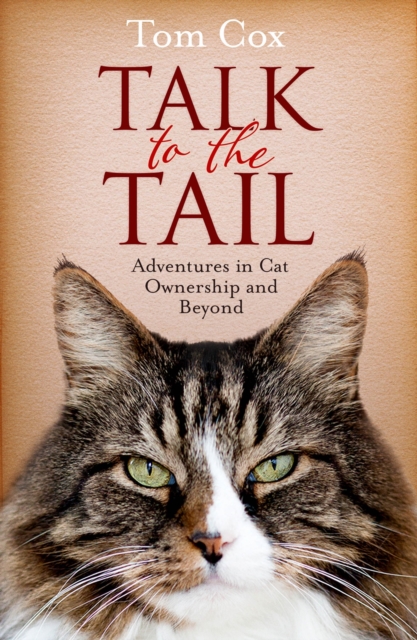 Talk to the Tail : Adventures in Cat Ownership and Beyond, Paperback / softback Book