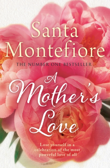 A Mother's Love, Hardback Book