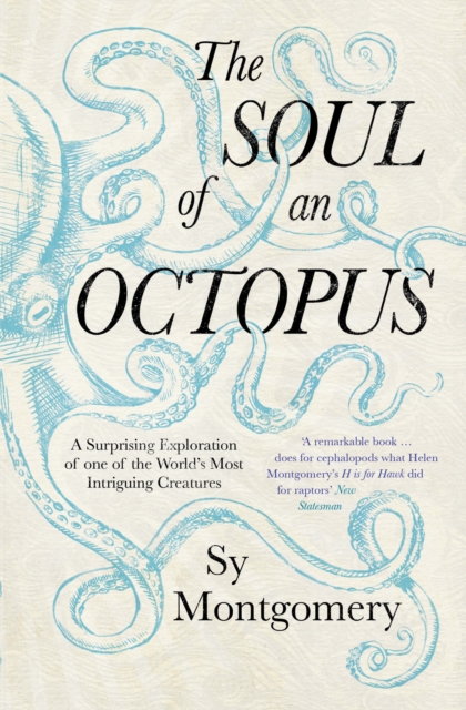 The Soul of an Octopus : A Surprising Exploration Into the Wonder of Consciousness, Paperback / softback Book
