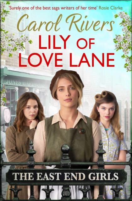 Lily of Love Lane, Paperback / softback Book