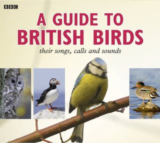 A Guide to British Birds : Their Songs, Calls and Sounds, CD-Audio Book