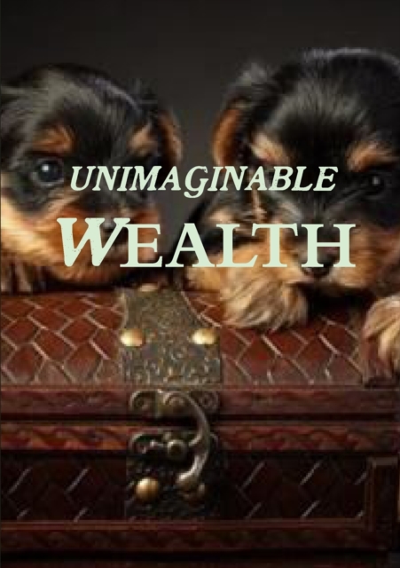 Unimaginable Wealth, Paperback / softback Book
