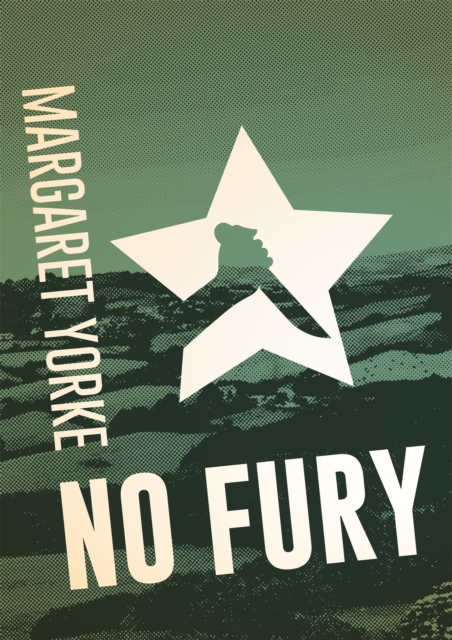 No Fury, Paperback / softback Book