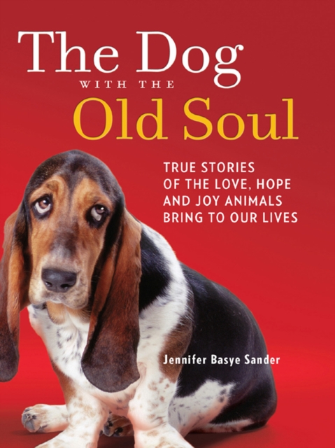 The Dog with the Old Soul, EPUB eBook
