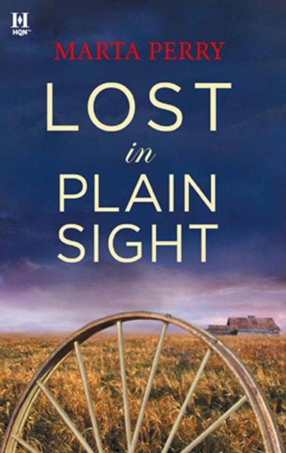 Lost in Plain Sight, EPUB eBook