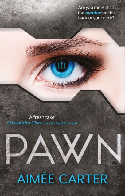 The Pawn, EPUB eBook