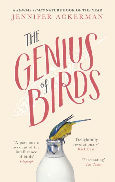 The Genius of Birds, Paperback / softback Book