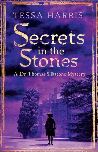 Secrets in the Stones : a gripping mystery that combines the intrigue of CSI with 18th-century history, Paperback / softback Book