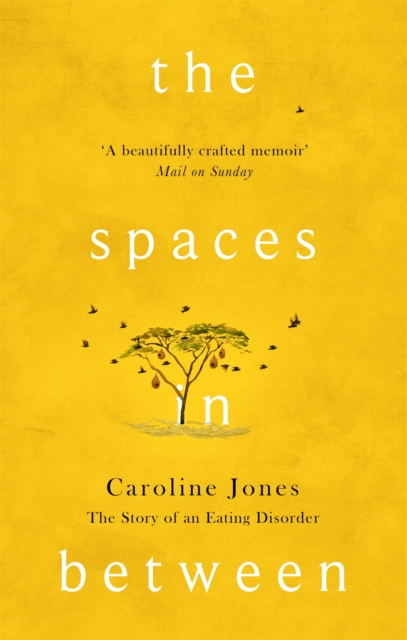 The Spaces In Between : The Story of an Eating Disorder, Paperback / softback Book