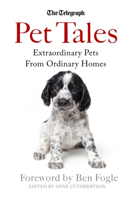 Pet Tales : Extraordinary Pets From Ordinary Homes, Paperback / softback Book