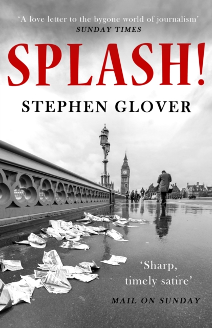 Splash! : A Novel, EPUB eBook